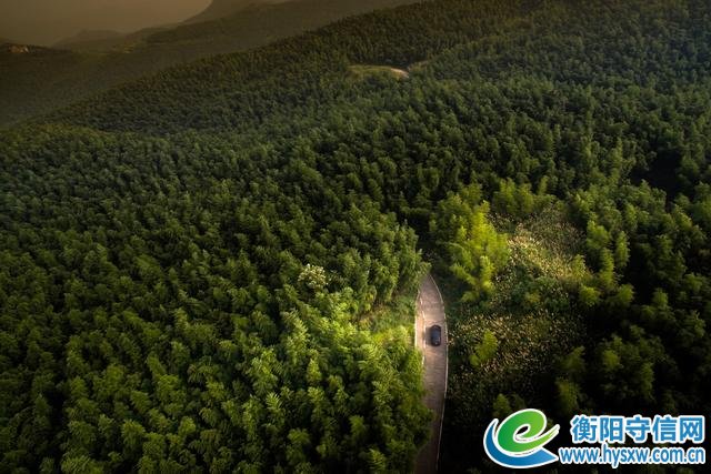 衡阳又火了!2019年湖南“春季乡村文化旅游节”将在耒阳蔡伦竹海启幕