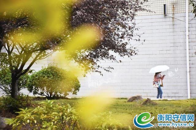 湖南衡阳：降雨迎立冬