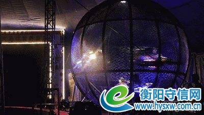 国际马戏嘉年华空降衡阳,超值门票免费领,快看抢票攻略