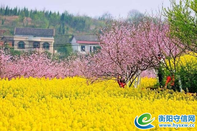 湖南衡阳萱洲古镇，被誉为“天使居住的地方”