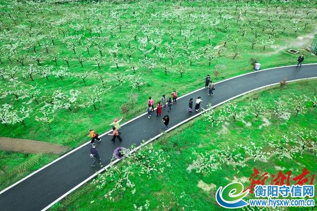 湖南日报头版头条丨“转融创”风景好——衡阳市推进产业转型创新发展纪实