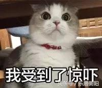还在议论衡阳房价均价破五？不！衡阳这家楼盘要破七了！