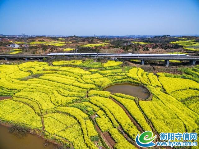 衡阳又火了!2019年湖南“春季乡村文化旅游节”将在耒阳蔡伦竹海启幕