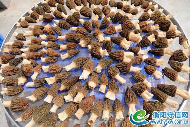 给力!衡阳县这个80后被中国青年报关注,一起来看!
