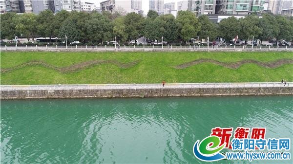 衡阳市城管局局长谢茂文:创卫有信心 创则必成