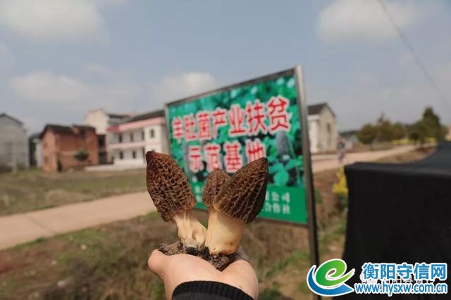 给力!衡阳县这个80后被中国青年报关注,一起来看!