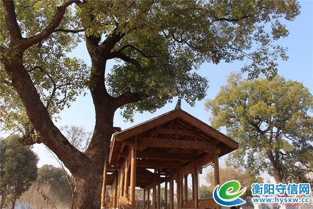 衡阳东洲岛项目正在加速推进 全长约2.1公里