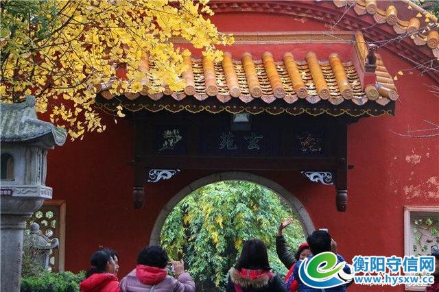 雁城印象:山明水秀宜居城 描绘美丽新画卷