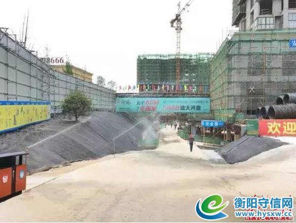 全市建设单位及施工企业至雅士林御苑观摩学习