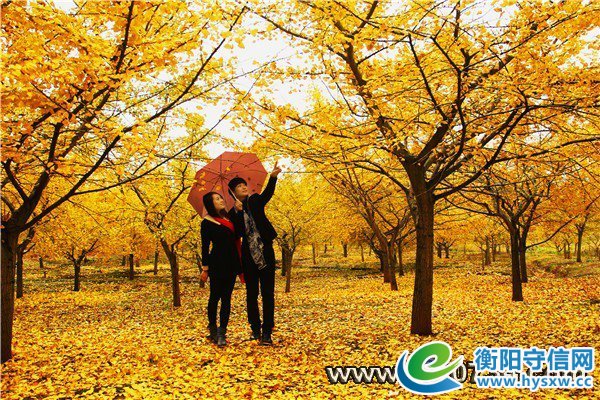 中国衡阳新闻网 