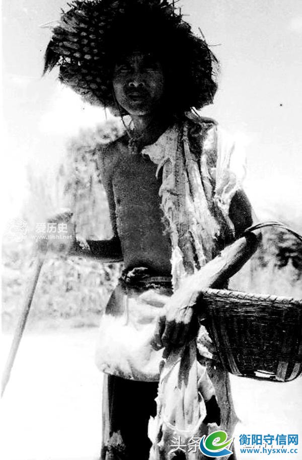 1946年湖南饥荒采食树皮草根现场照 每天上千人被饿死
