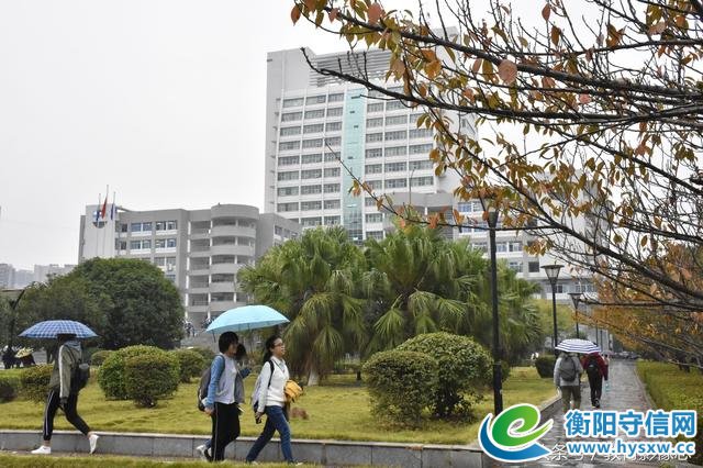 湖南衡阳：降雨迎立冬