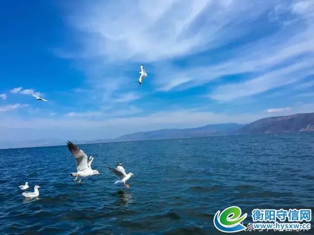 云南旅游必去的12个景点！