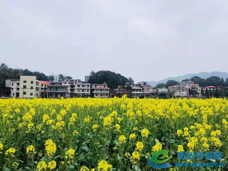 微信图片_20220304183001.jpg