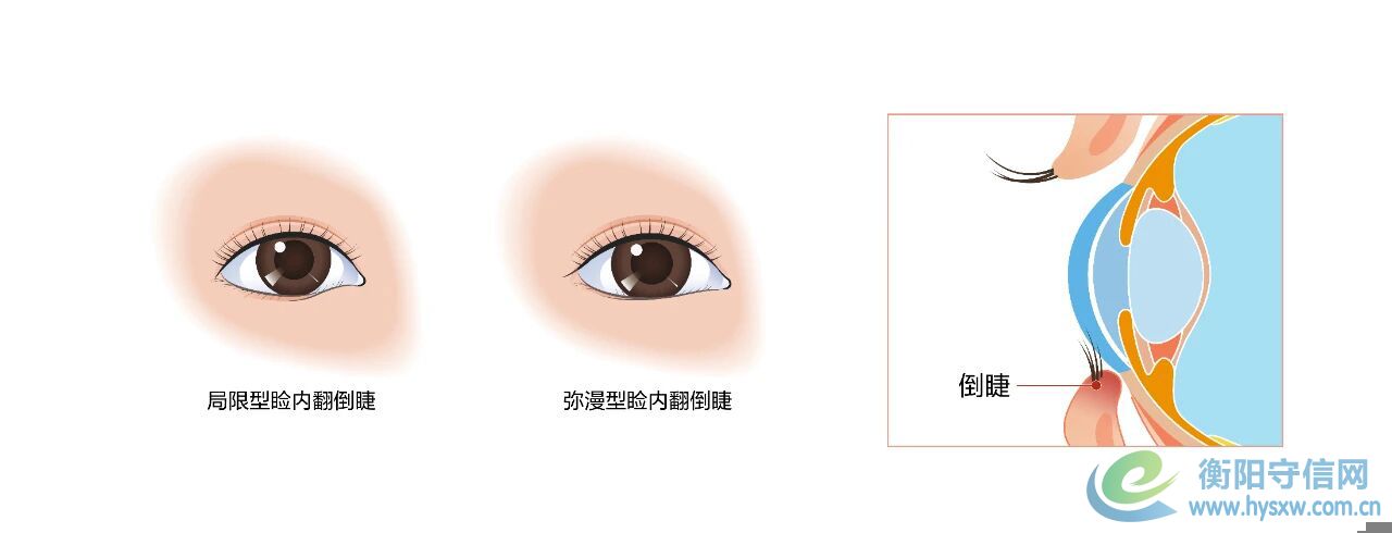 mmexport1765422853545.jpg mmexport1765422853545.jpg